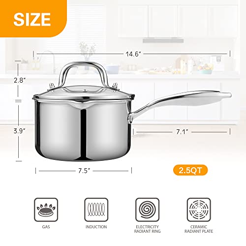 2.5 Quart Saucepan with Lid