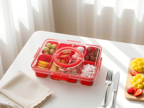 Divided Serving Tray with Lid and Handle