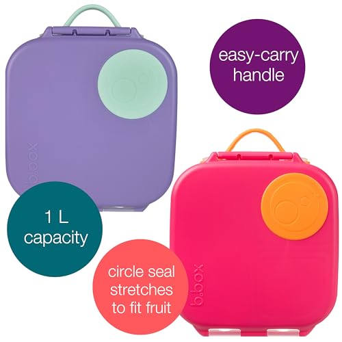 Mini Lunch Box 2