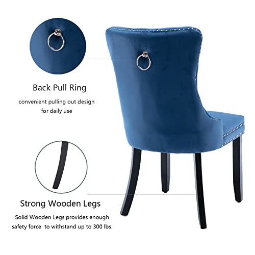 Blue Velvet Dining Chairs Set of 4 (4 Count)