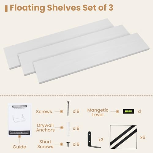 Floating Book Shelves for Wall (3 Count)