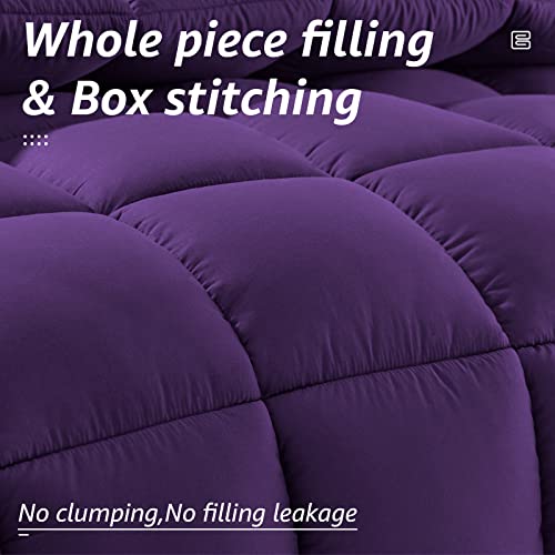 All Season Twin Size Bed Comforter