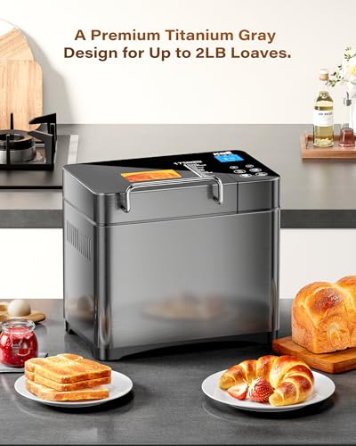710W 2LB Bread Maker Dual Heaters