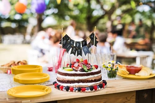 Sturdy Yellow Plastic Plates 9" Party Plates 100 Pcs (100 Count)