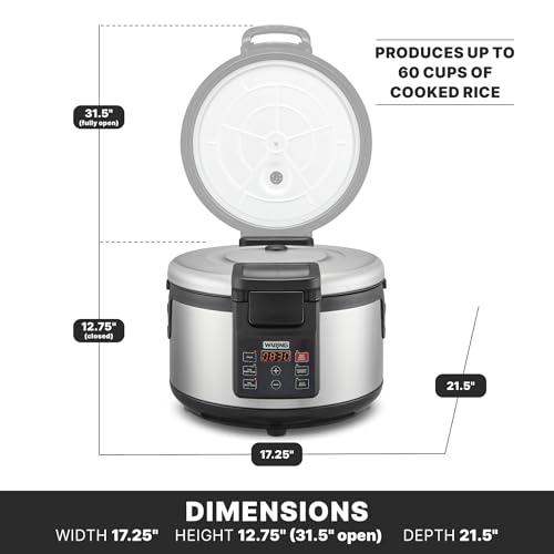 Rice Cooker with 60