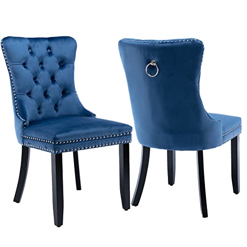 Blue Velvet Dining Chairs Set of 2 (2 Count)