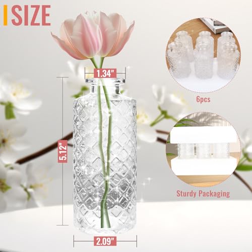 Bud Vase Flower Bottle (6 Count)