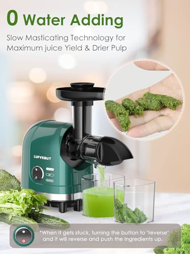Cold Press Juicer Machine Slow Masticating Extractor for Celery Wheatgrass Spinach Ginger Cucumber Kale