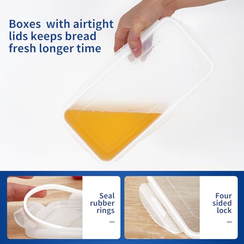 2 Bread Box with Airtight Lids (394 Ounce)