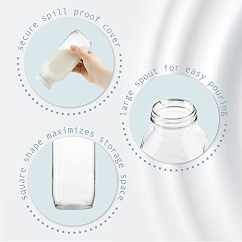 16 oz Glass Milk Bottle with Lid (2 Count)