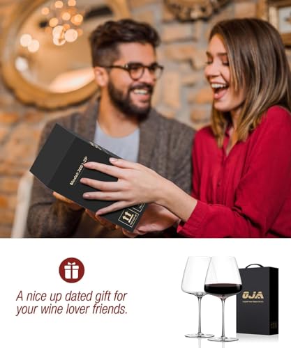 Wine Glasses Set (2 Count)