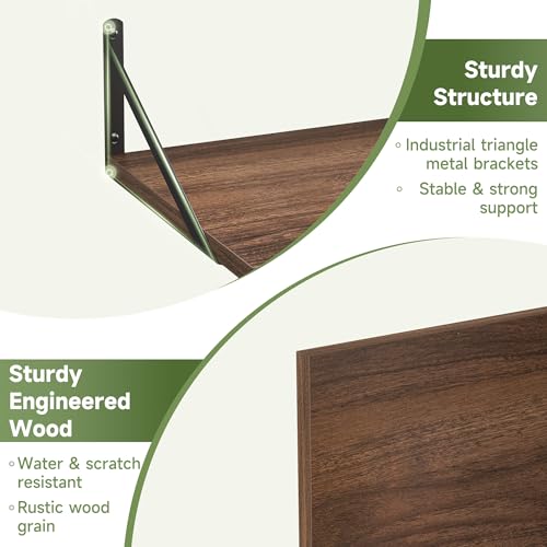 16W x 12D Deep Floating Shelves Set of 4 Natural (4 Count)