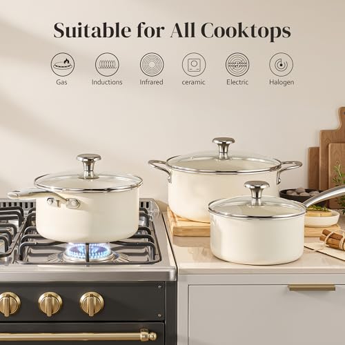 Stock Pot Set with Lid 5Qt
