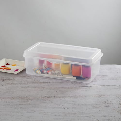 Rectangular Large FlipTop (24 Count)