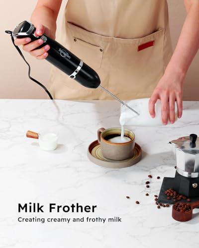 Immersion Blender Handheld