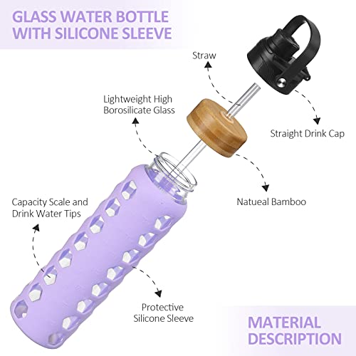Glass Water Bottle