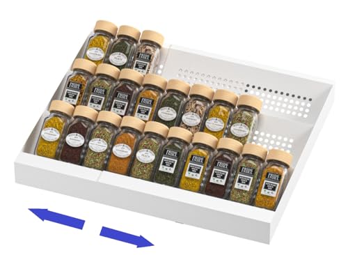 Expandable Metal Spice Drawer Organizer
