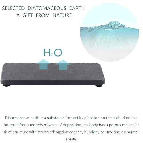 2Pcs Stone Soap Trays Water Absorbing Diatomite Coaster (2 Count)