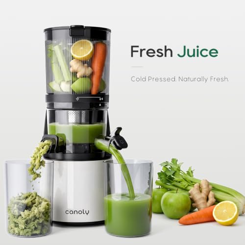 3-in-1 Cold Press Juicer C16, Makes Juice & Sorbet & Nut Milk