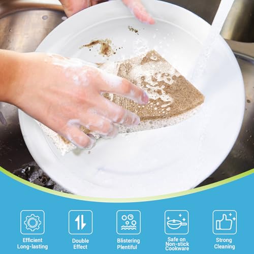 XL Sponges Kitchen (24 Count)