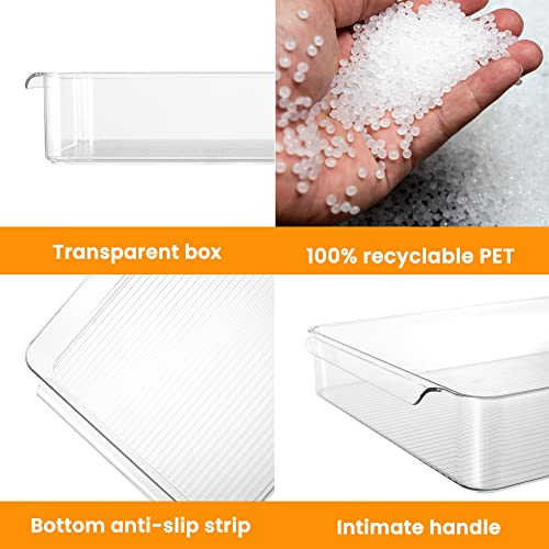 2 Pack Deli Meat Container for Fridge (2 Count)