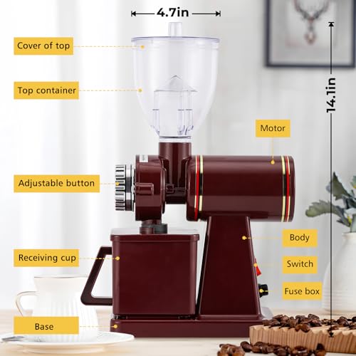 Electric Burr Coffee Grinder