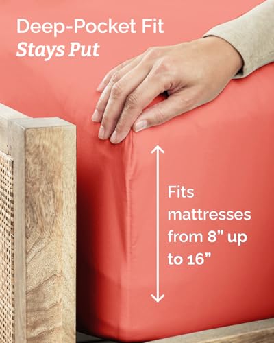 Twin XL 3 Piece Sheet Set (3 Piece Set)