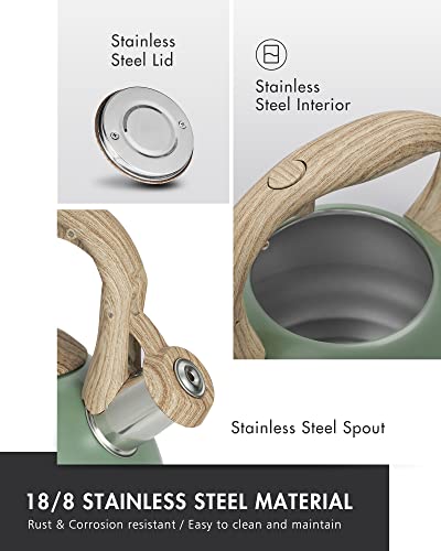Poliviar Tea Kettle