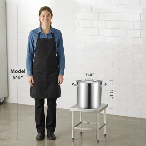 20 Quart Large Stock Pot with Lid