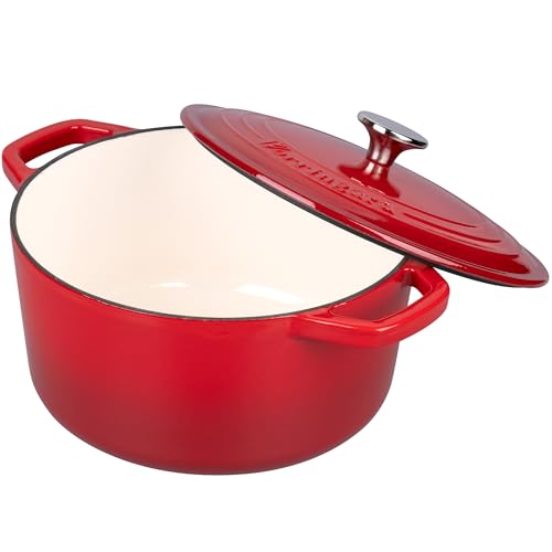 Enameled Cast Iron Dutch Oven Pot with Lid