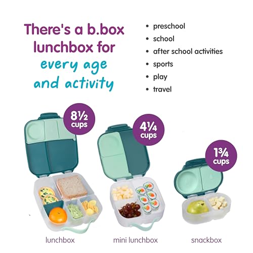Mini Lunch Box