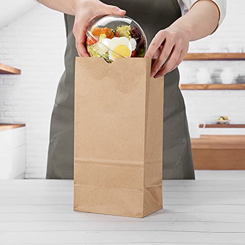 Bag Tek 8 LB Disposable Lunch Bags 100 Sturdy Take (100 Count)