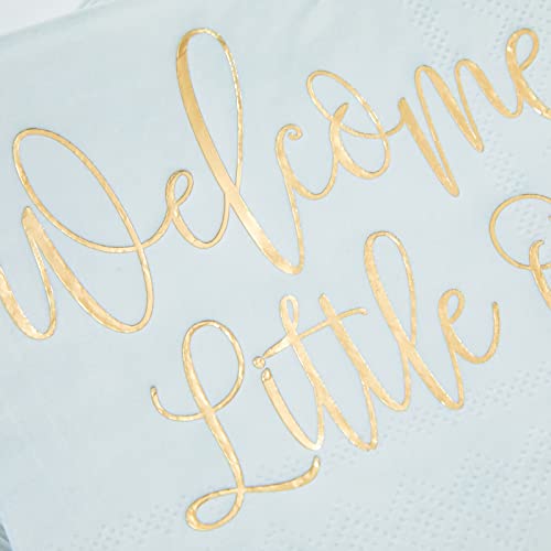 Pastel Blue Party Napkins (50 Count)
