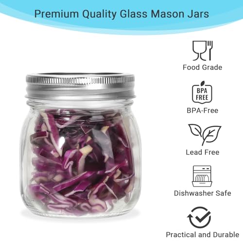 24 Pack 10 oz Clear Glass Mason Jars with Silver Metal Split Lids (24 Count)