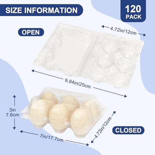 Large 120 Pack Egg Cartons Cheap Bulk (120 Count)