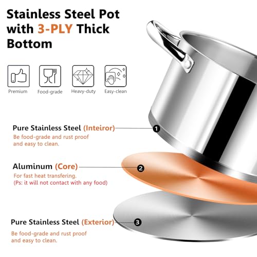 5 Quarts Stock Pot with Lid
