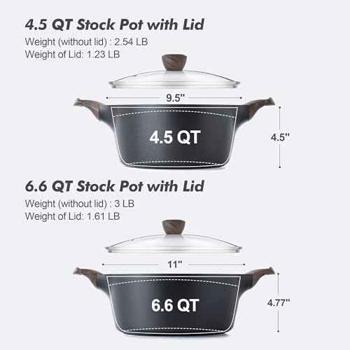 Nonstick Stock Pot with Lid