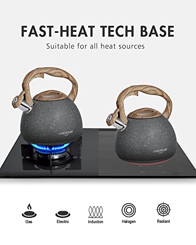 POLIVIAR Tea Kettle