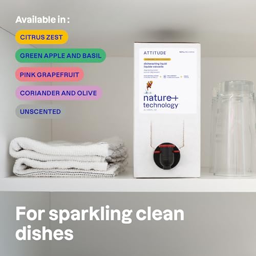 Dish Soap Refill (67.62 Fl Oz)