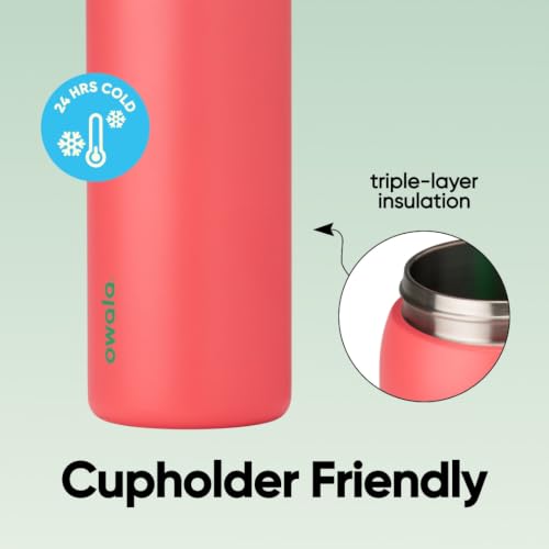 FreeSip Stainless Steel Water Bottle 32 oz Strawberry Fields