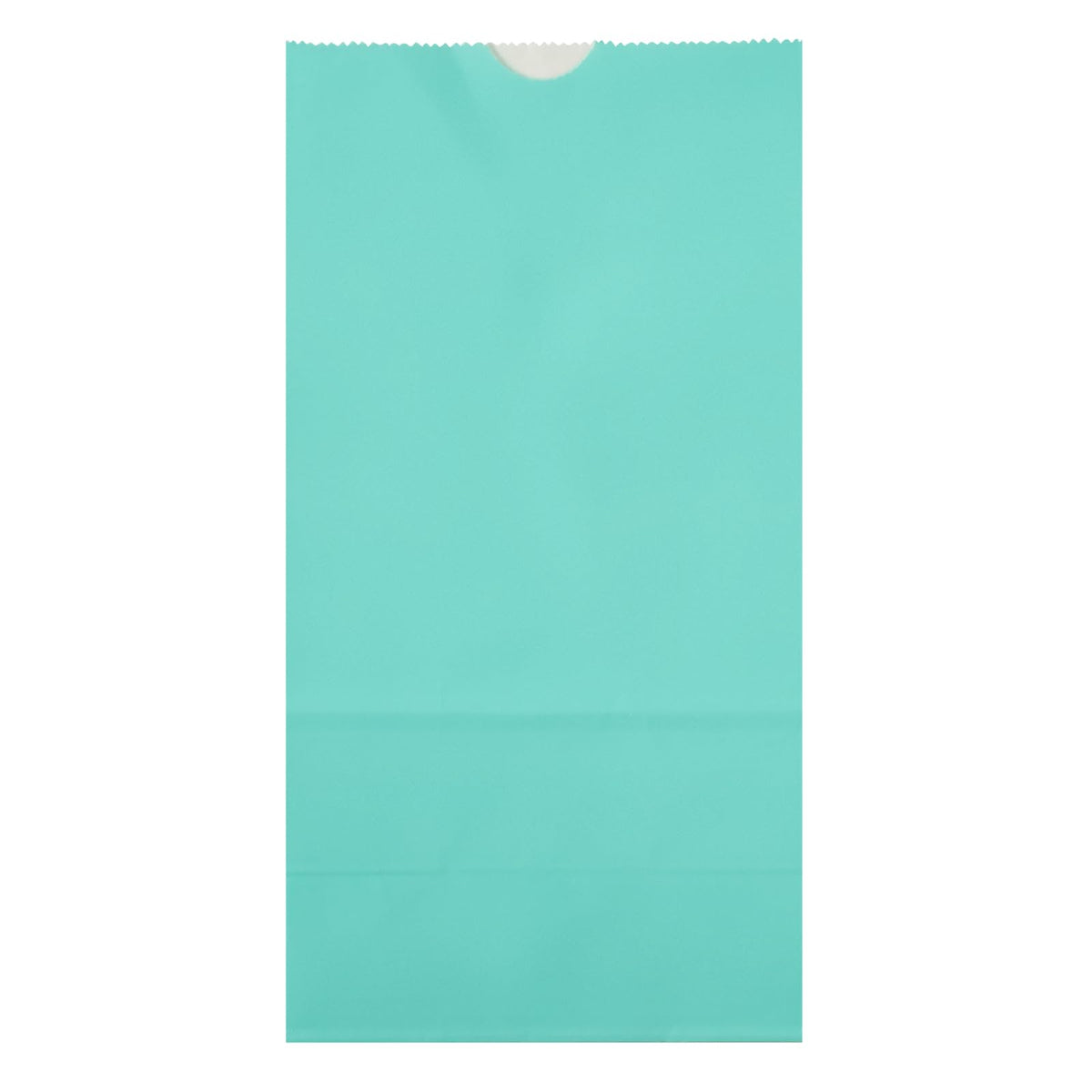 Turquoise Paper Bag (100 Count)