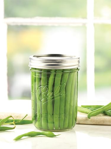 Wide Mouth Glass Mason Jars with Lids and Bands (3 Count)