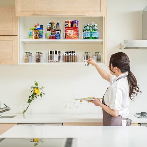Fridge Organizers and Storage (10 Count)