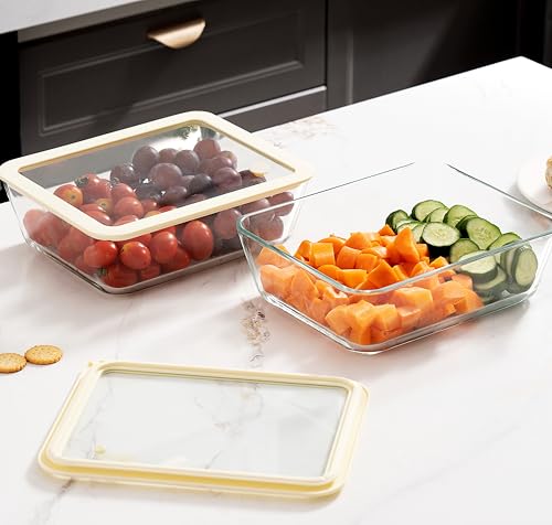 Glass Food Container Set with Glass Lid (2 Count)