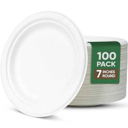 White Disposable Paper Plate 7 inch (100 Count)