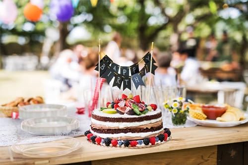 Sturdy Clear Plastic Plates 10" Party Plates 100 Pcs (100 Count)