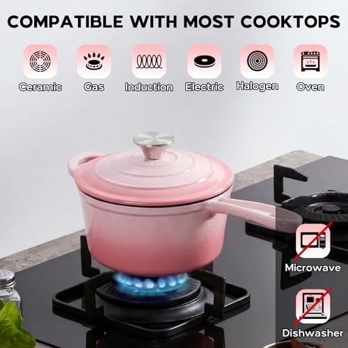 1QT Enameled Cast Iron Saucepan with Lid