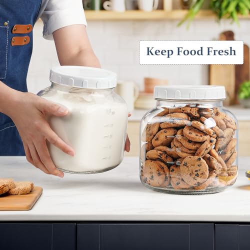 0.8Gal Glass Jar with Lid (2 Count)