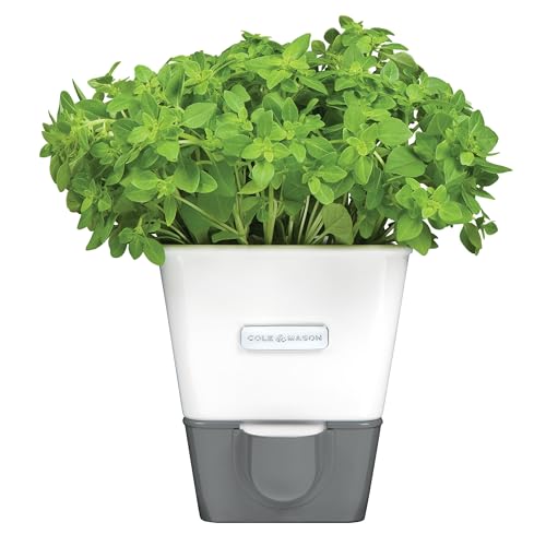 Self Water Herb Keeper