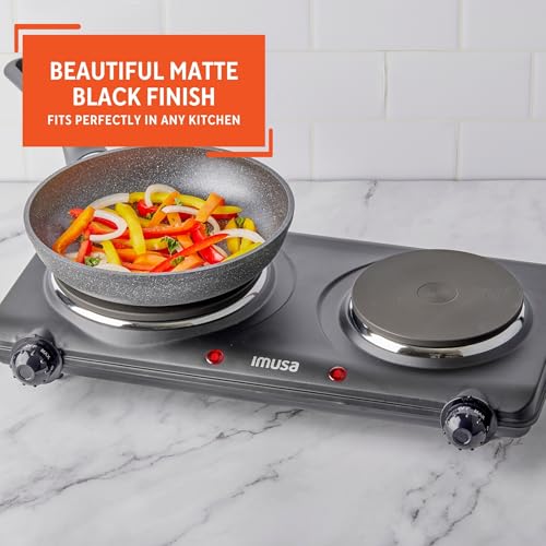 Double Electric Hot Plate
